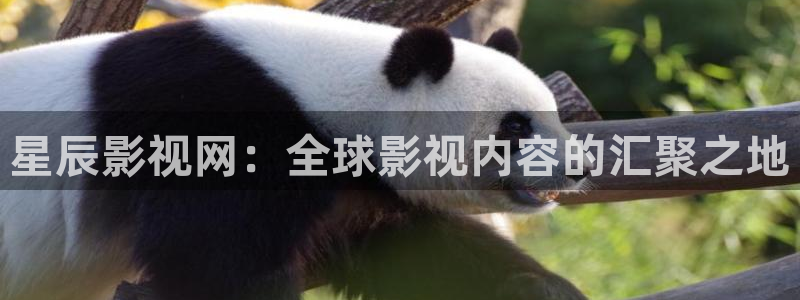 电影天堂的官网